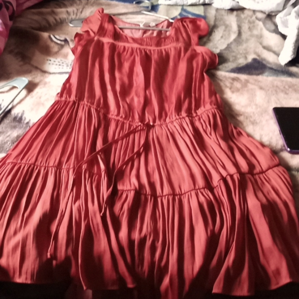 Ruffled Sleeve Tie up Waisted Dress